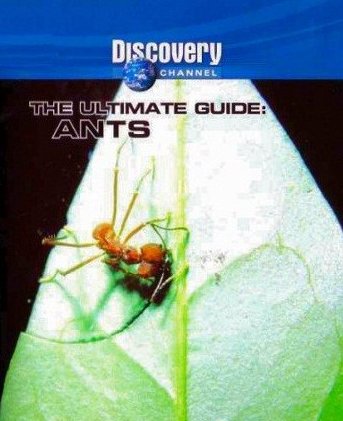 Poster of the movie Ultimate Guide: Ants