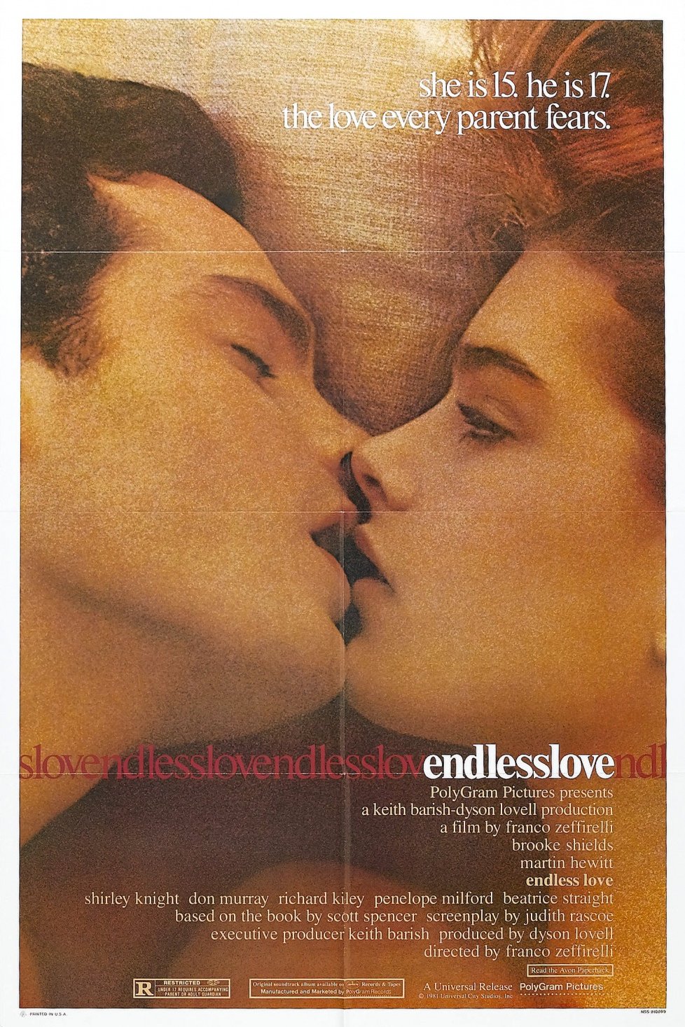 Poster of the movie Endless Love