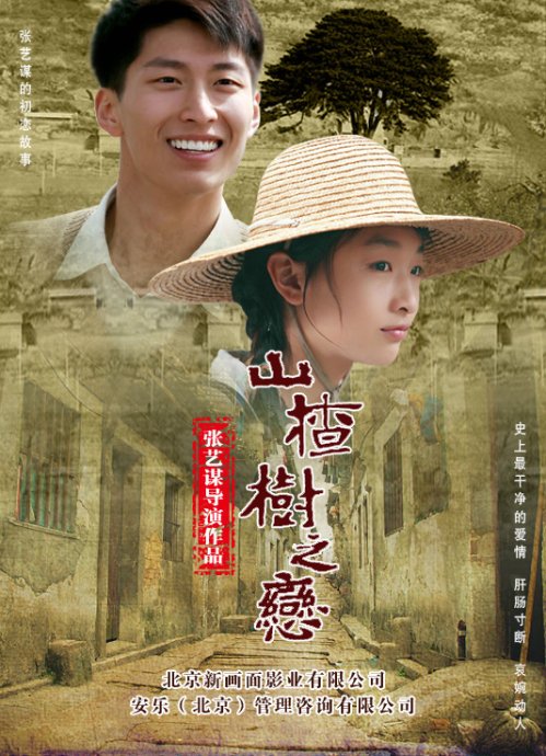 Mandarin poster of the movie Under the Hawthorn Tree