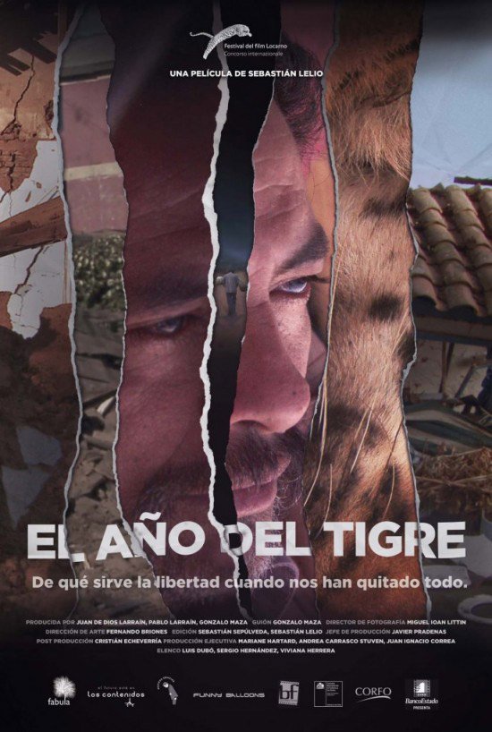 Spanish poster of the movie The Year of the Tiger
