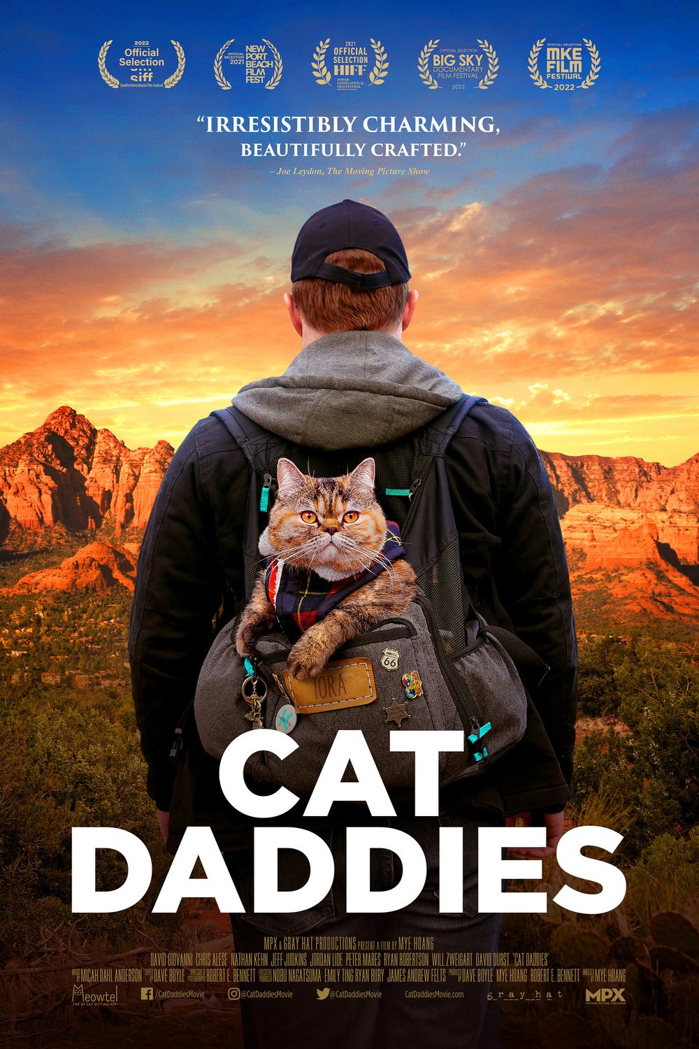Poster of the movie Cat Daddies
