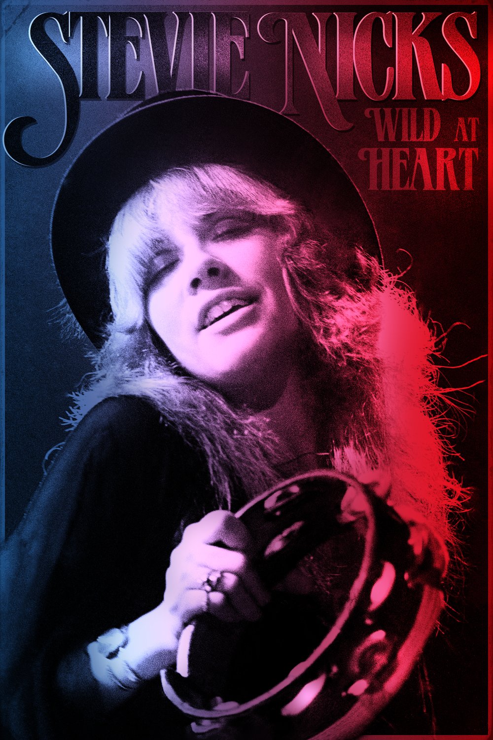 L'affiche du film Stevie Nicks: Wild at Heart