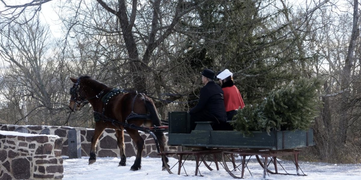 A Gettysburg Christmas (2023) by Bo Brinkman