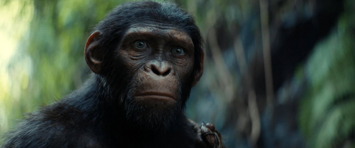 Kingdom of the of the Apes (2024) by Wes Ball