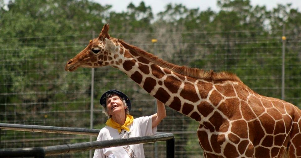 The Woman Who Loves Giraffes (2018) by Alison Reid