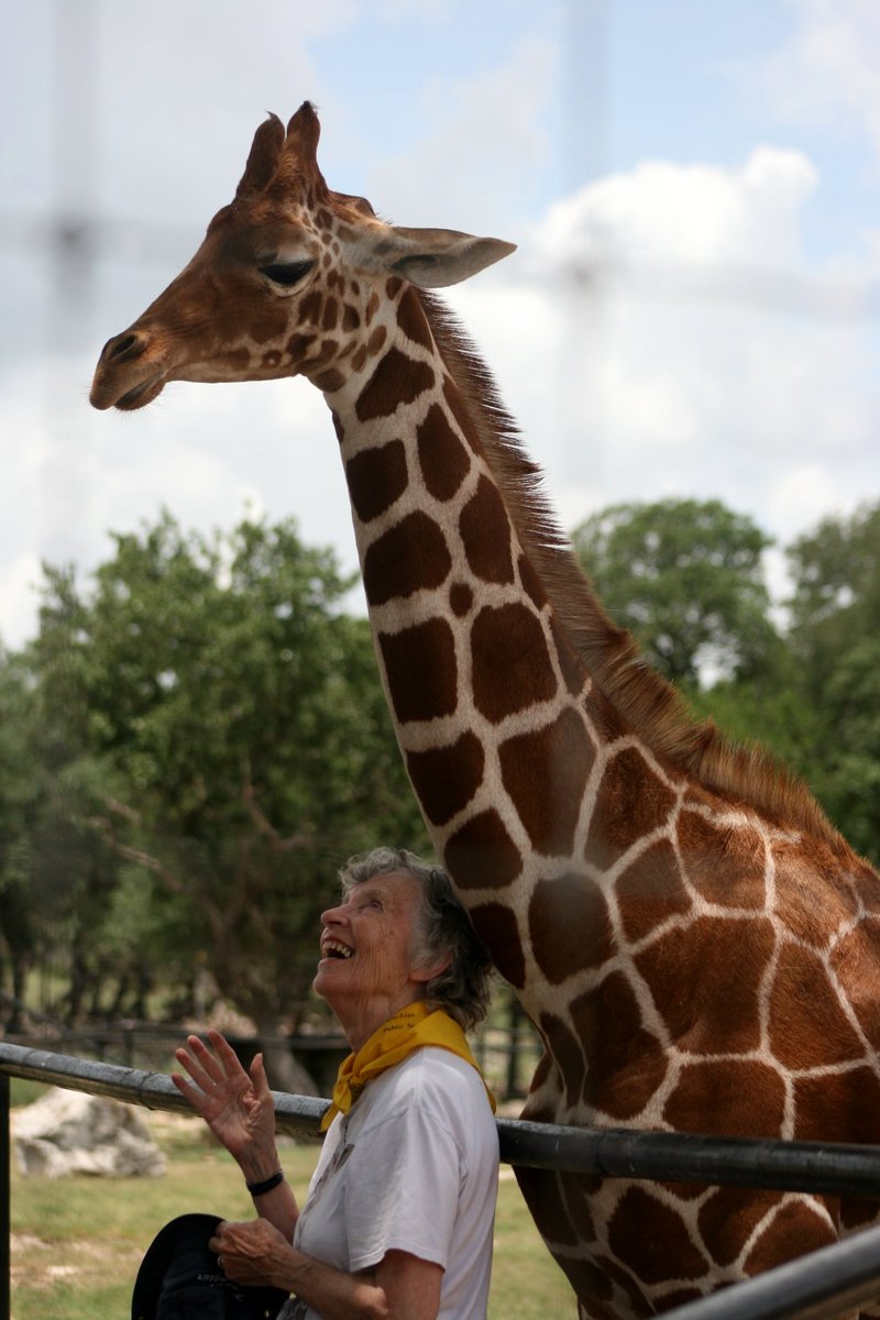 The Woman Who Loves Giraffes (2018) by Alison Reid