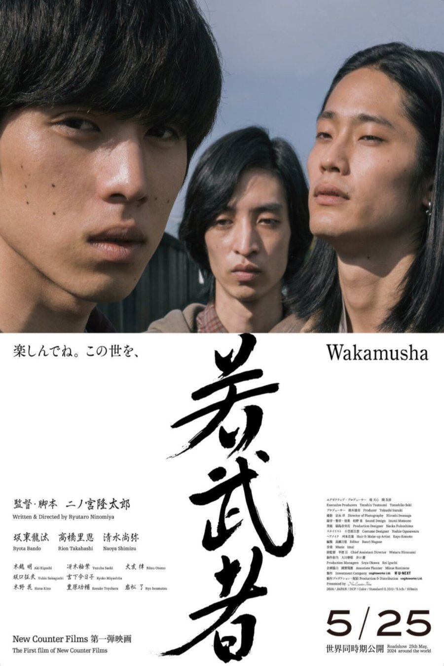Japanese poster of the movie Wakamusha