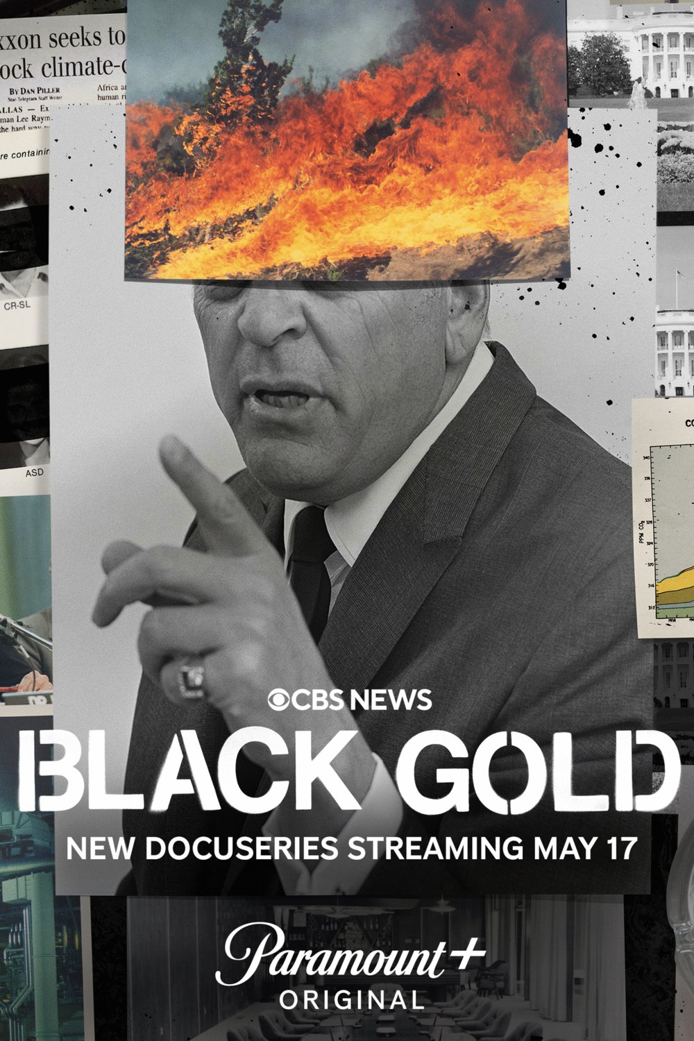Poster of the movie Black Gold