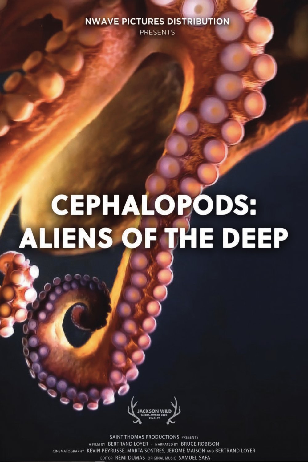 Cephalopods: Aliens of the Deep movie info