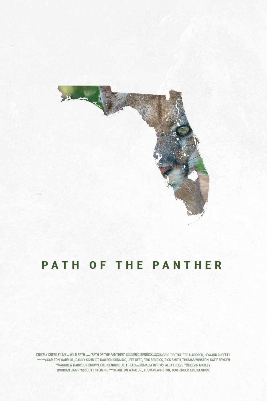 L'affiche du film Path of the Panther