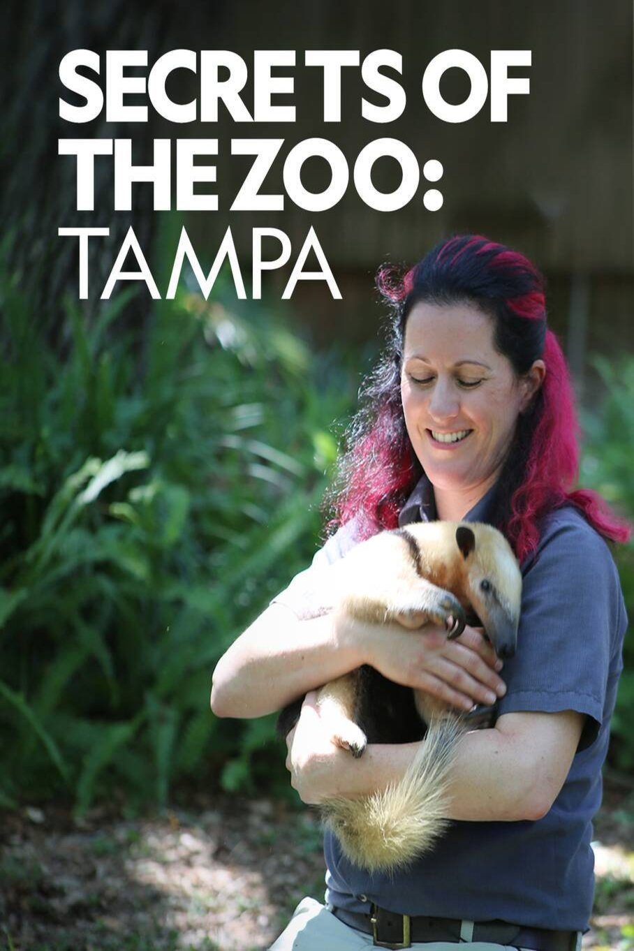 Secrets of the Zoo Tampa TV series