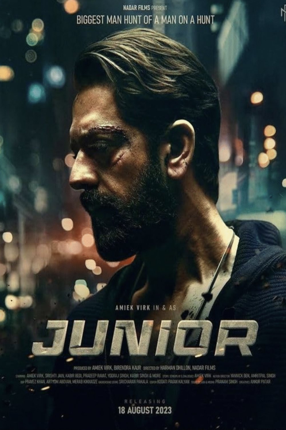 Punjabi poster of the movie Junior