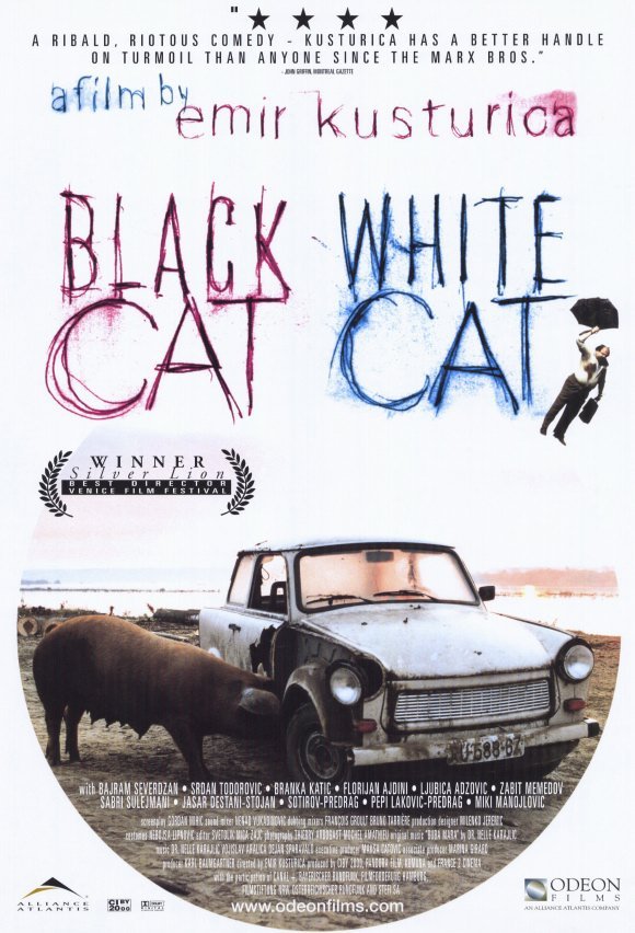 Poster of the movie Chat Noir, Chat Blanc