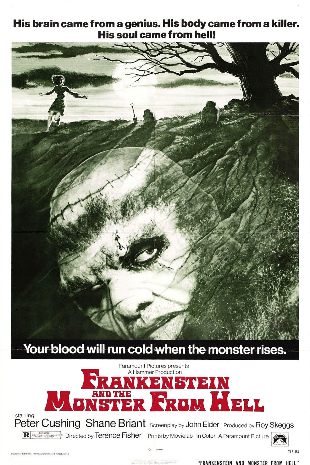 L'affiche du film Frankenstein and the Monster from Hell