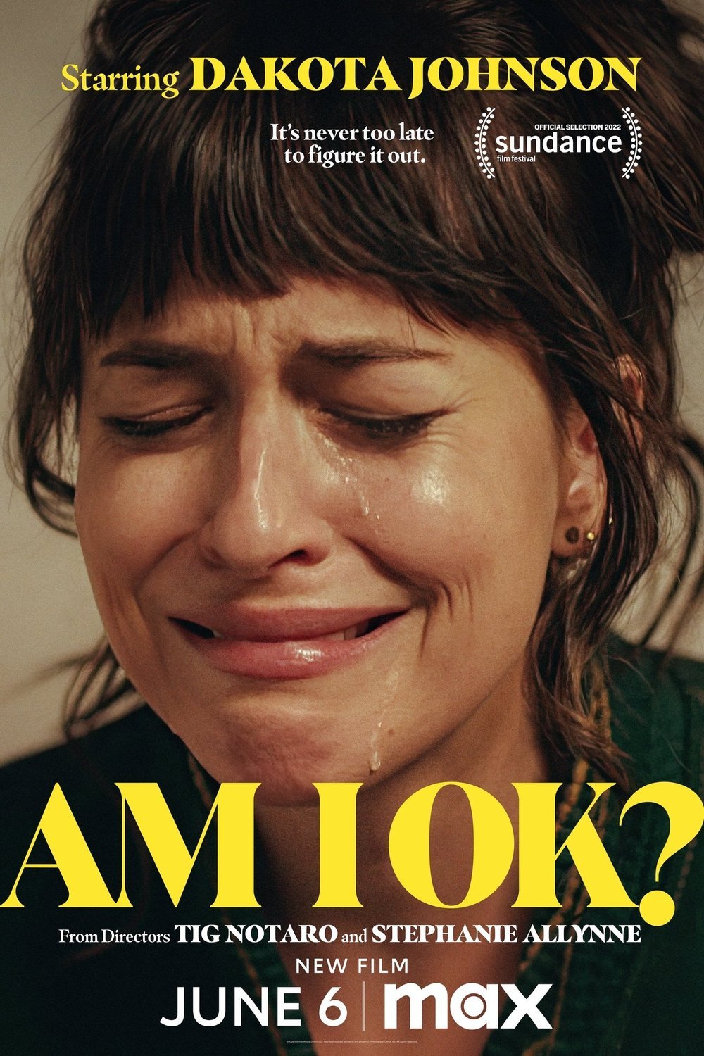 Poster of the movie Am I OK?