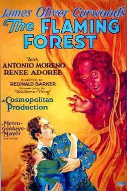 Poster of the movie The Flaming Forest