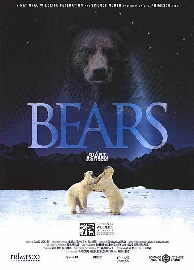 L'affiche du film Bears